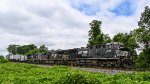 NS 4665